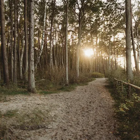 Alojamento de Acomodação e Pequeno-almoço Park 4*